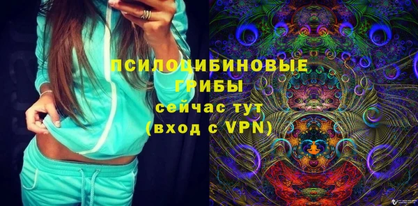 винт Алзамай