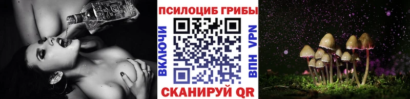 Псилоцибиновые грибы MAGIC MUSHROOMS  kraken   Ялта  закладки 