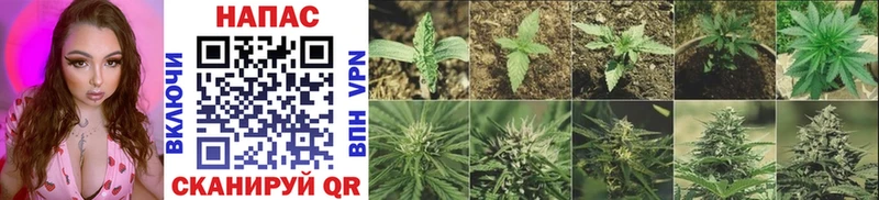 цена   кракен   Бошки Шишки LSD WEED  Ялта 